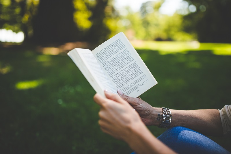 read like a writer read like a writer